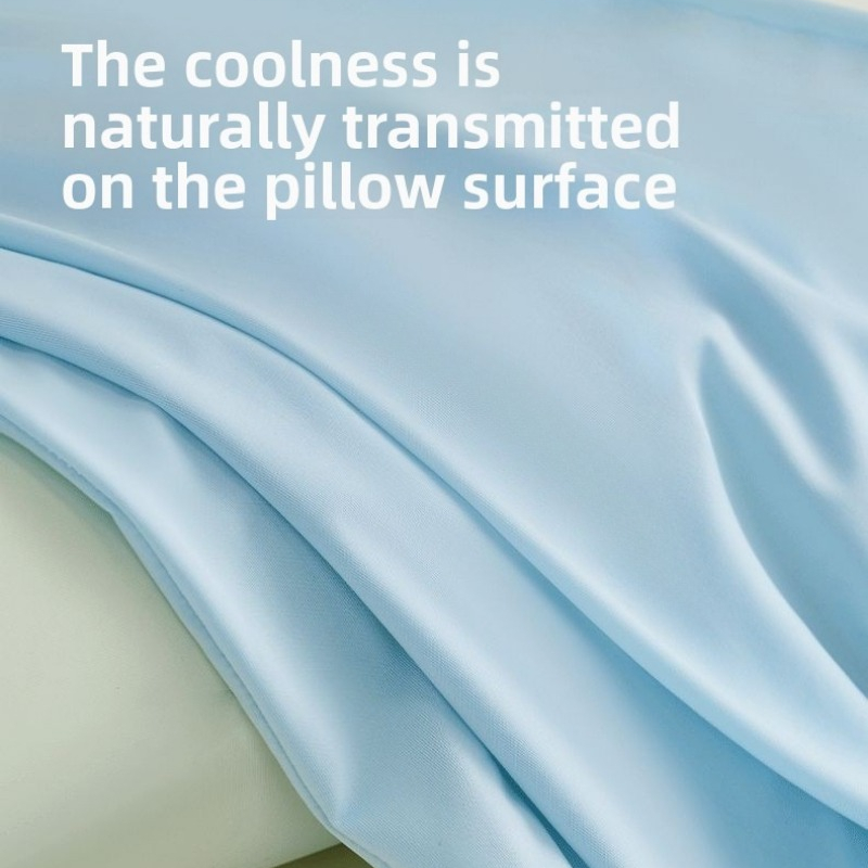 Housse de coussin universelle  - Silk Pillowcase avis et prix